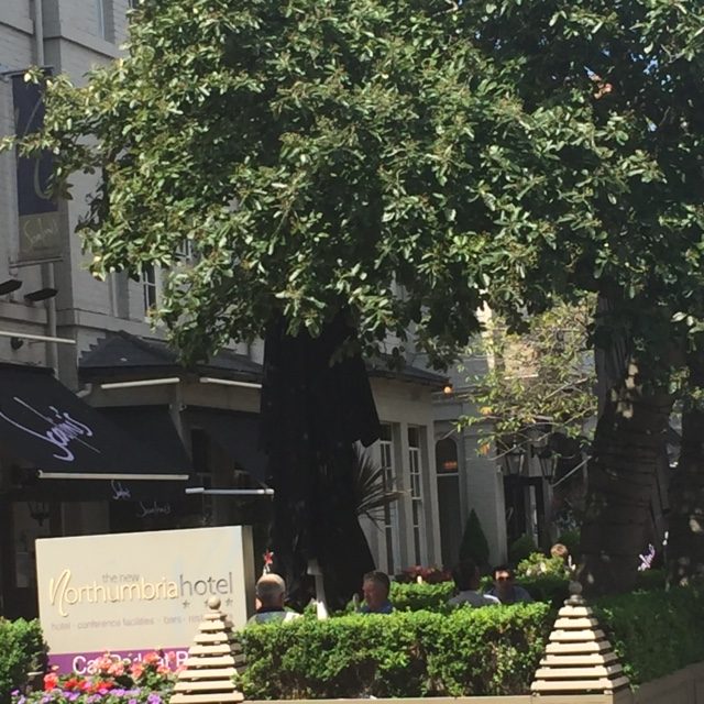 Osborne Road - famous for its sunny beer gardens, happy hours and all day bank holiday drinking sessions..